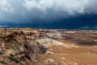 Petrified Forest-MAK_6307