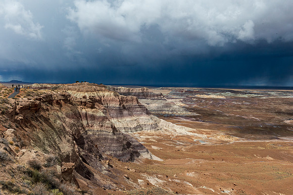 Petrified Forest-MAK_6307