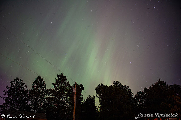 Black-Hills-MAK_8386