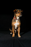 JaimeJoyner-Joiner-00281