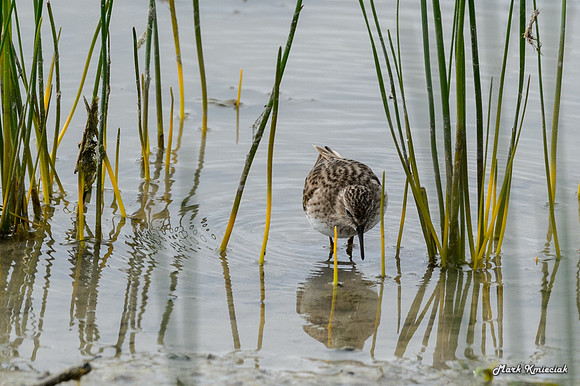 World-birding-MAK_3265