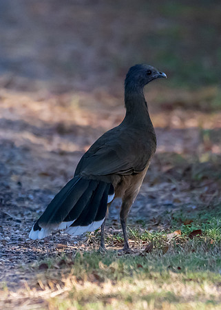 Bentsen RioGrande-DSC_5095