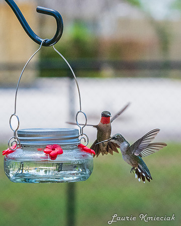 hummers091123LAK_0847