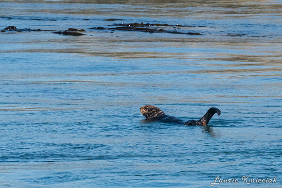 Nwhidby-LAK_3982
