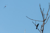 Colorado-MAK_0224