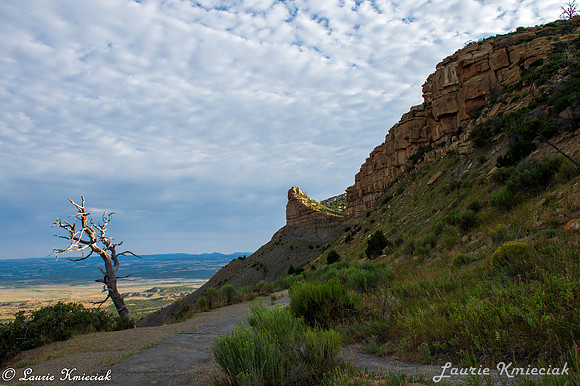 colorado-MAK_8685