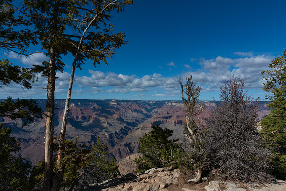 grand-canyon-np-LAK_5686