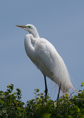 UTSW-LAK_0140