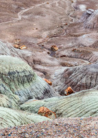 Petrified Forest-MAK_6213