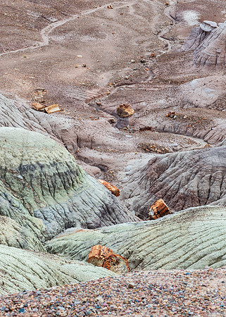 Petrified Forest-MAK_6213