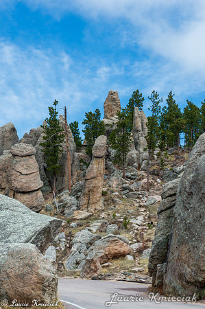 Black-Hills-MAK_8297