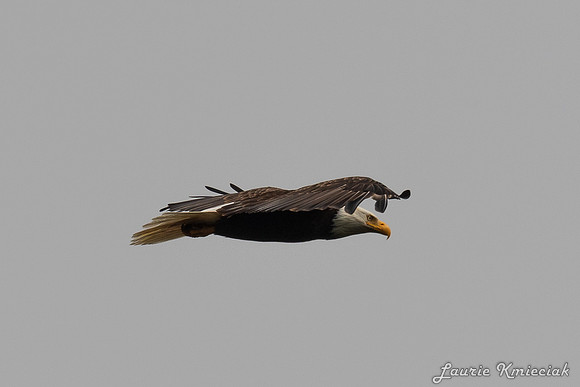 Nwhidby-LAK_3026