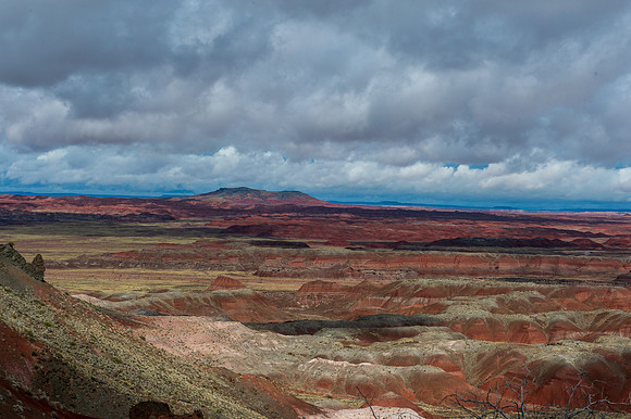 Petrified Forest-MAK_6113