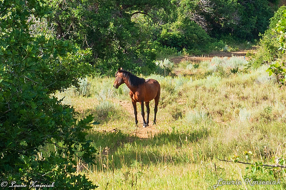 colorado-MAK_8707
