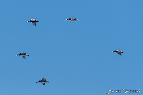 Cannon-Beach-LAK_1668