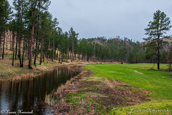 Black-Hills-MAK_8348