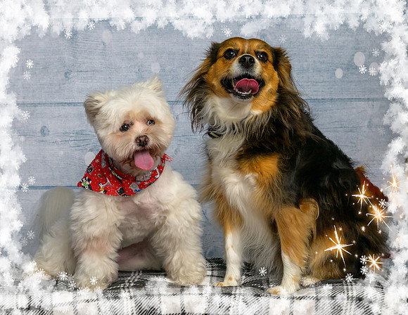Dani Davis & Koda-_MAK7849-Edit
