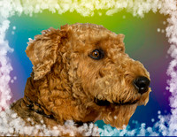 Ken & Kay Driscoll & Charlie-_MAK8144-Edit