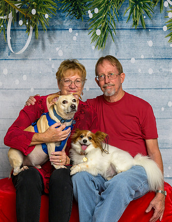 Julia and John Hanley with Bella & Dexter-_MAK8536