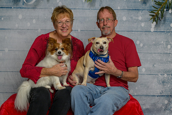 Julia and John Hanley with Bella & Dexter-_MAK8542