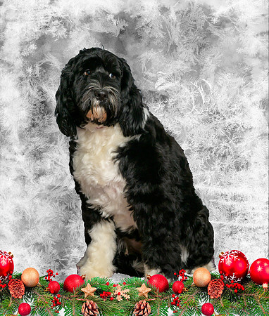 Connie and Lyle Oliver-_MAK8872-Edit