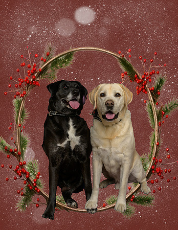 Molly & Larry Franklin  CJ and Kaydi-_MAK8959-Edit