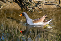 South Padre Island-_MAK9376
