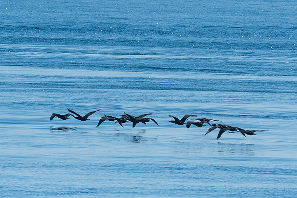 Nwhidby-LAK_3823