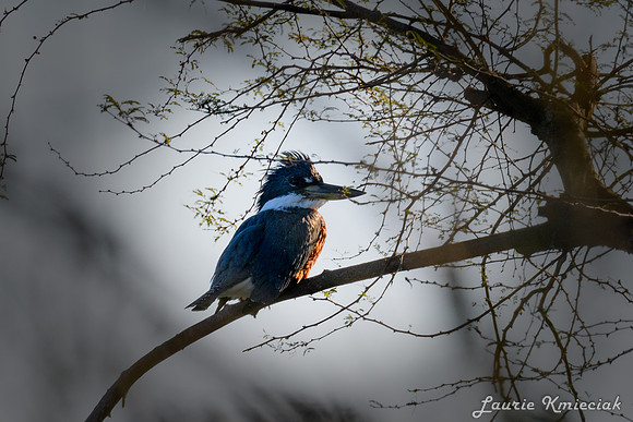 Edinburg Scenic Wetlands-LAK_3432
