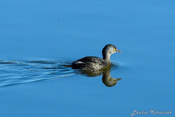 Edinburg Scenic Wetlands-LAK_3400