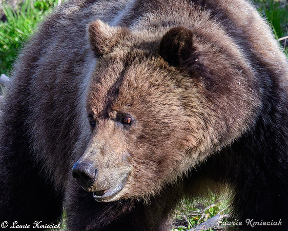 06022024-LAK_9497