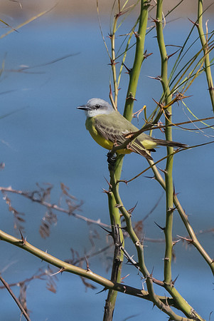 Santa Ana National Wildlife Refuge-_MAK2756