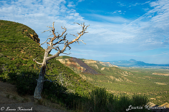 colorado-MAK_8698