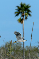 BentsenPalmsRV-MAK_3564