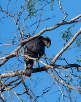 20240204-LAK_4375