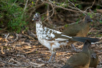 20240204-LAK_4492