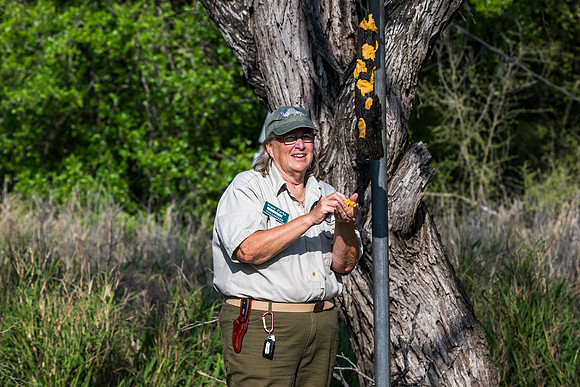 Bentsen-Rio Grande Valley State Park-_MAK5718