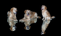 Barley-Spirits Goldens-Stacked-2