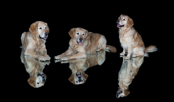 Barley-Spirits Goldens-Stacked-2