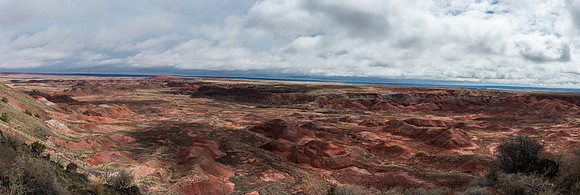 Petrified Forest-MAK_5989-Pano