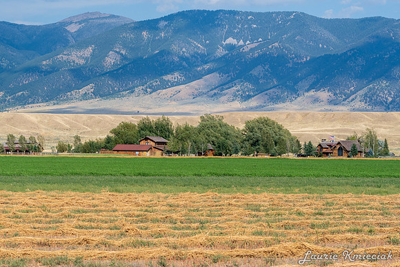 Ennis MT-LAK_8801