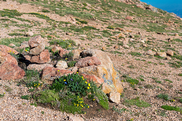 Colorado-MAK_9200
