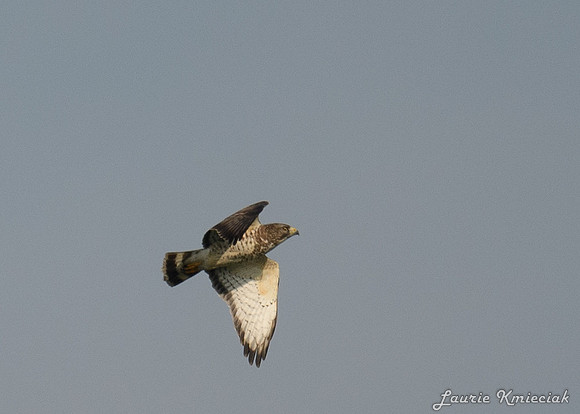 LAK_5226