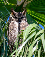hawktower-040324-LAK_5494