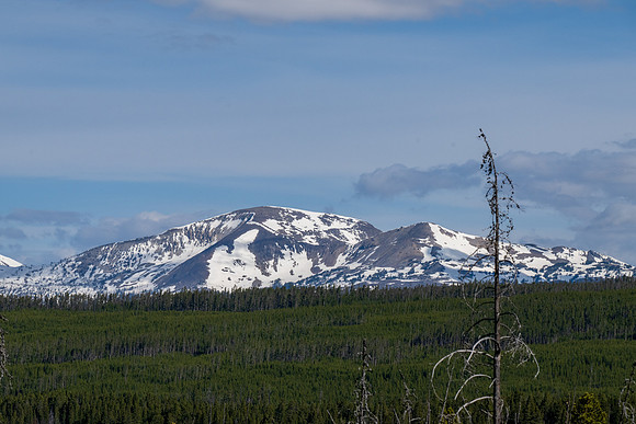 Yellowstone _MAK4152