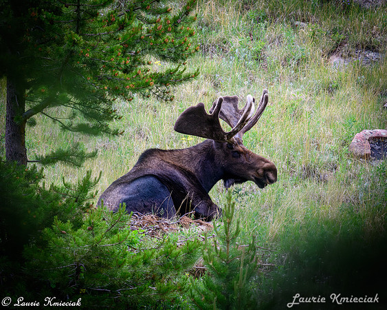 rnmp-LAK_1229-Enhanced-NR