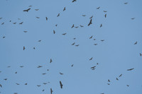 04082024-LAK_5815