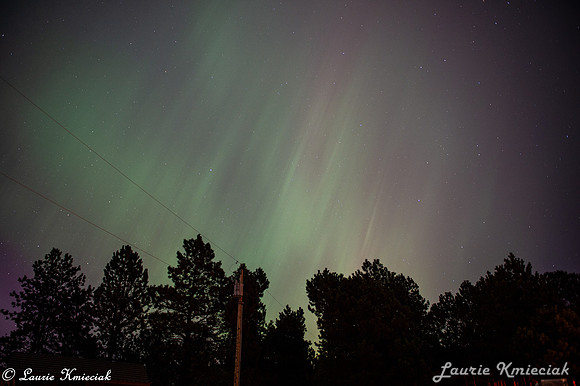 Black-Hills-MAK_8387