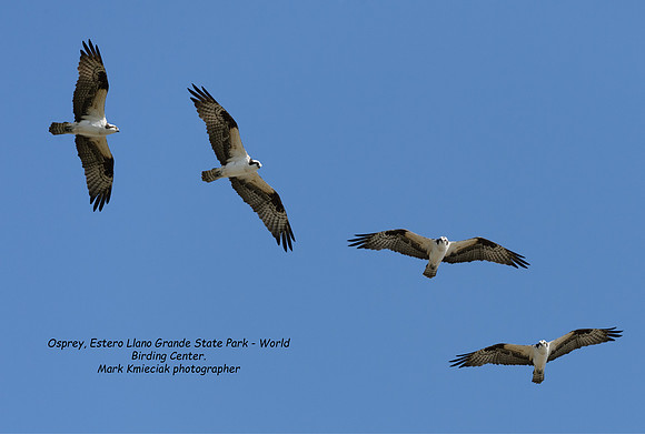 Estero Llano Grande-MAK_2779-Edit