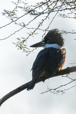 Edenburg Wetlands-MAK_3877